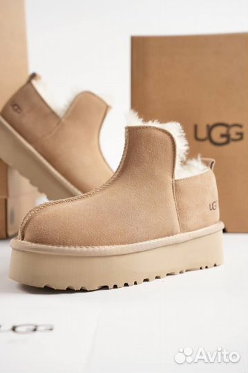 Зимние Лоферы / Полуботинки Ugg Размеры 36-40