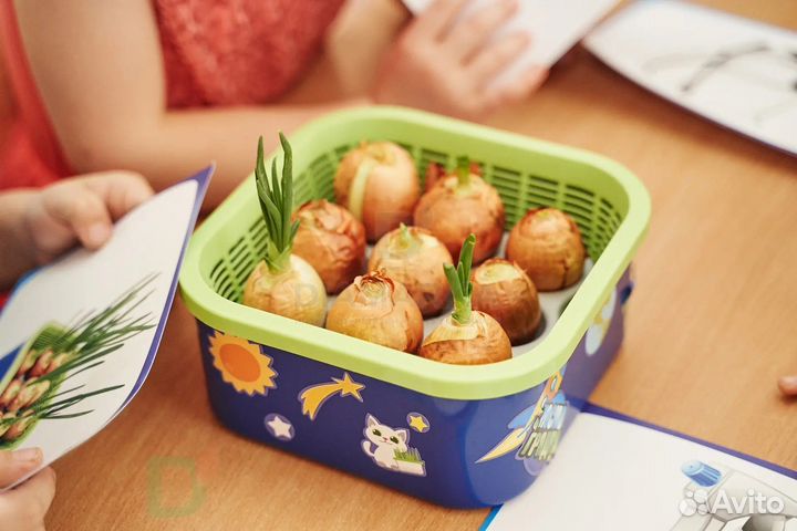 Проращиватель Космогрядка для детей Здоровья клад