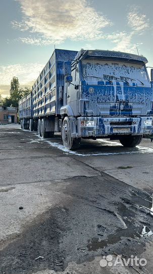 КамАЗ 65117, 2012