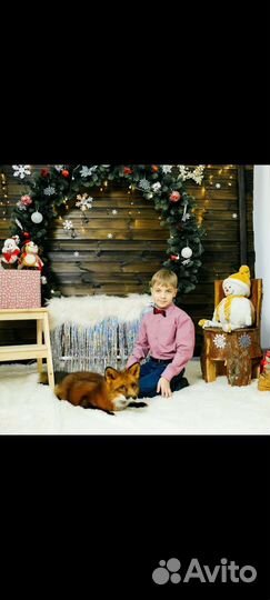 Кольцо новогоднее, арка