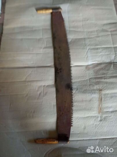 Пила дружба