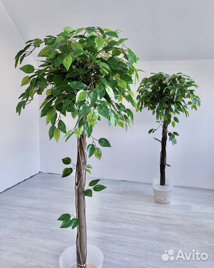 Дерево Фикус искусственный бенджамина