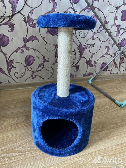 Когтеточка