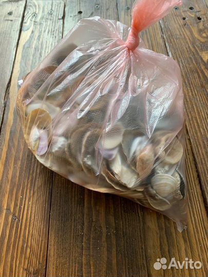 Ракушки для аквариума