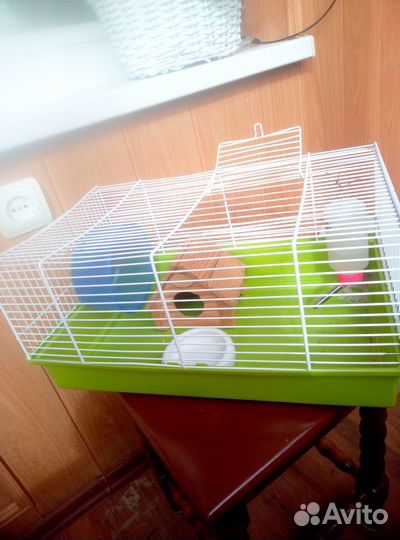 Продается клетка для хомяков 45*30*23см