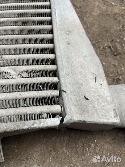 Интеркуллер evolution