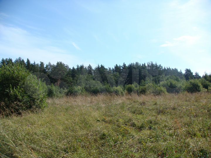 Участок 20 сот. (СНТ, ДНП)