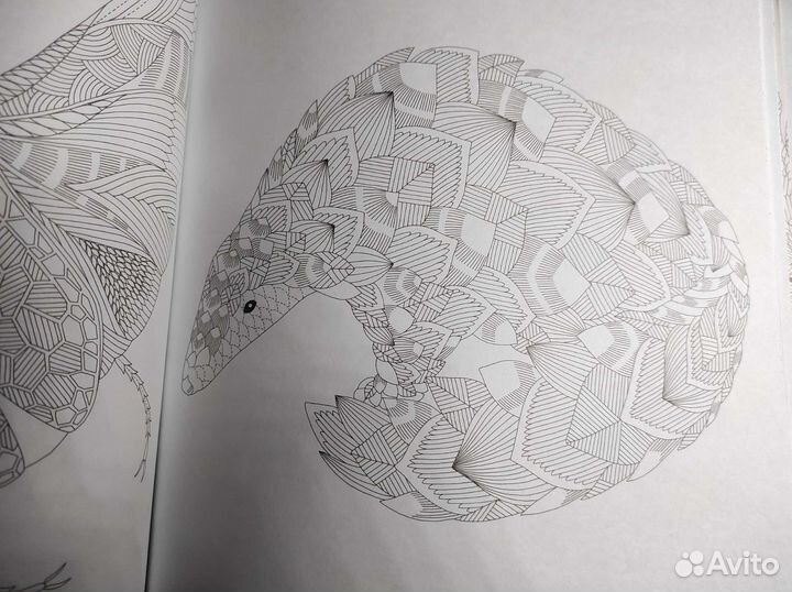 Раскраска Первозданная красота-Милли Маротта