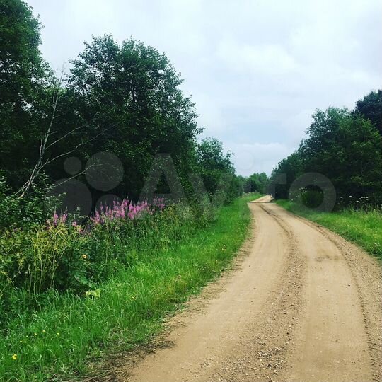 Участок 1,23 га (СНТ, ДНП)