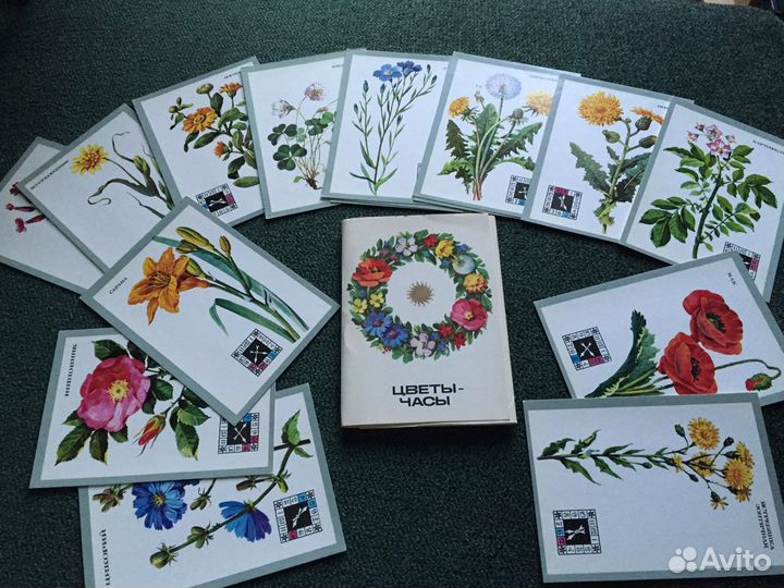 Открытки наборы Цветы-Часы, Природа, Кухня, Цветы