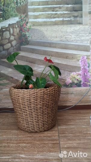 Кашпо ручного плетения Тёмный орех 20 литров