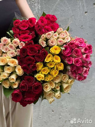 Роза одноголовая,кустовая от 23р