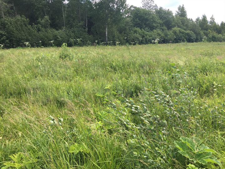 Участок 1,2 га (ИЖС)