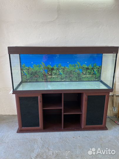 Аквариум