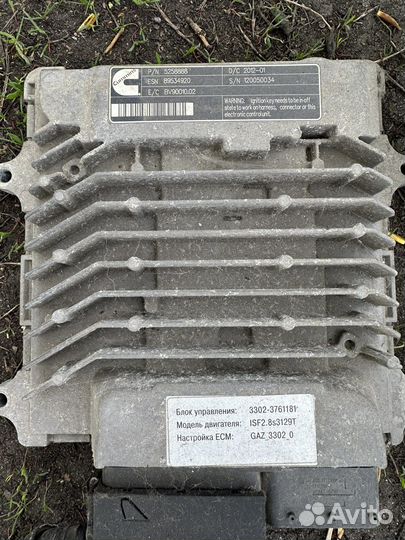 Мозги эбу на газель Cummins с косой