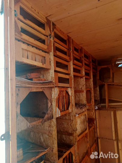 Пчеловавильон