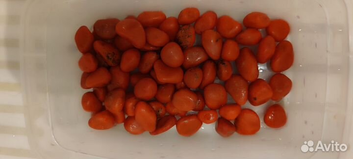 Аквариумные декораций