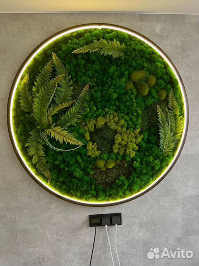 Панно из мха