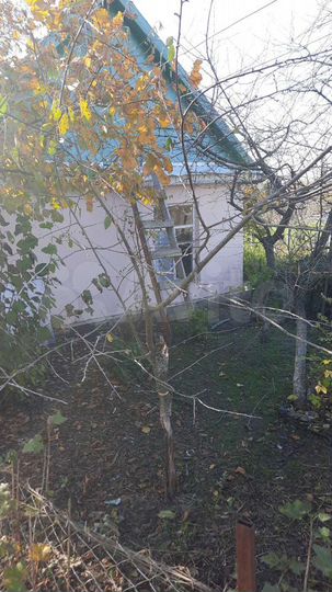 Дом 43 м² на участке 44 сот.