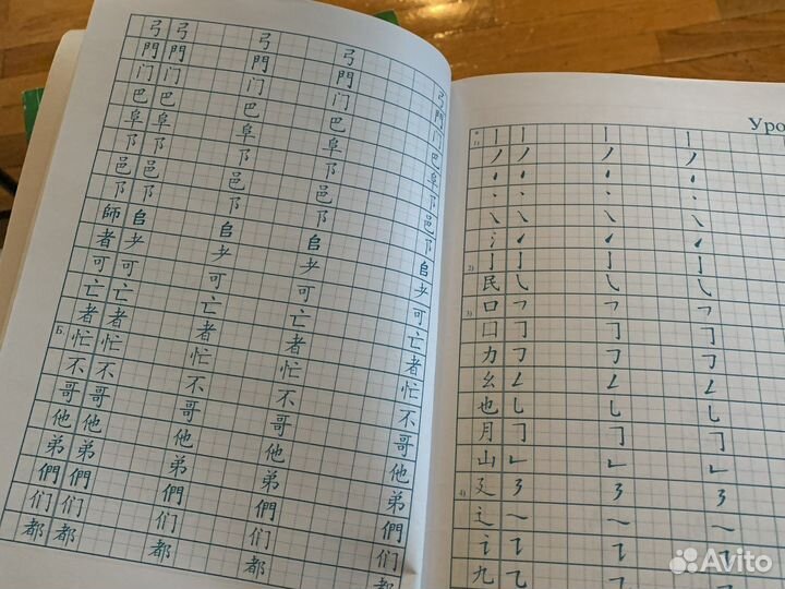 Практический курс китайского языка Кондрашевский