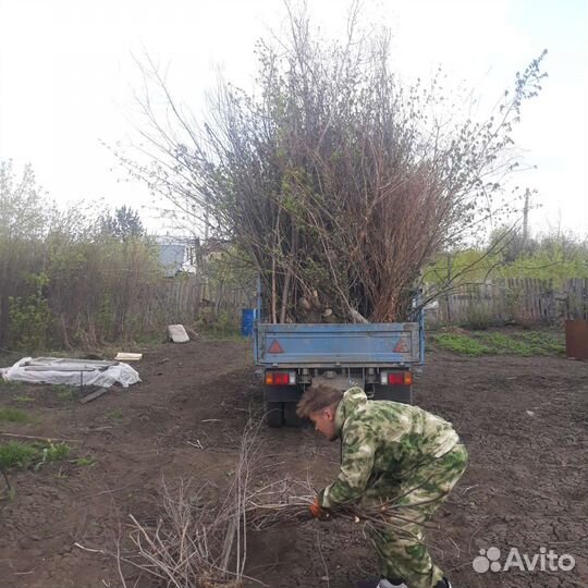 Вывоз мусора