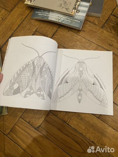 Раскраска животные