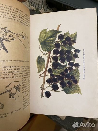 Книги по садоводству 1950-60 годов