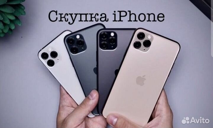 Скупка iPhone MacBook Xiaomi Samsung телефонов