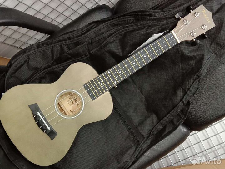 Укулеле концерт 23