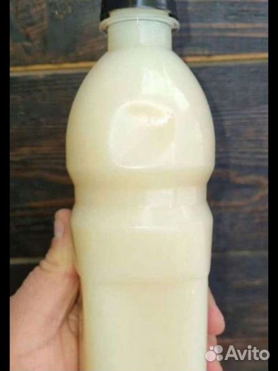 Барсучий жир