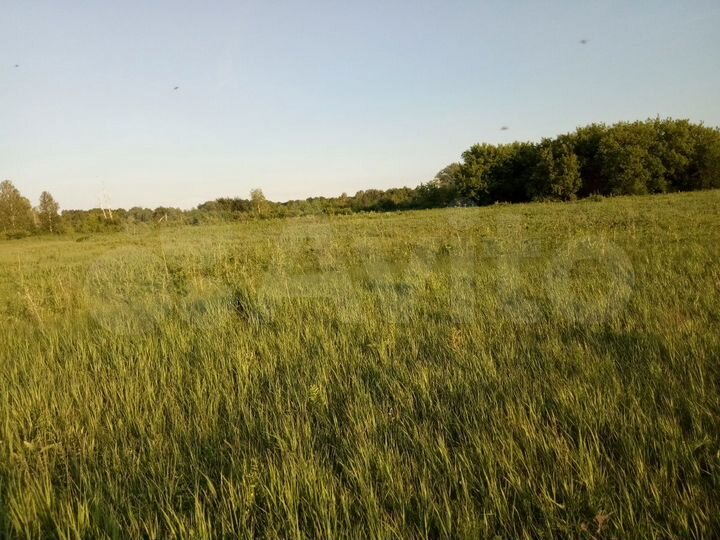 Участок 15,1 га (СНТ, ДНП)