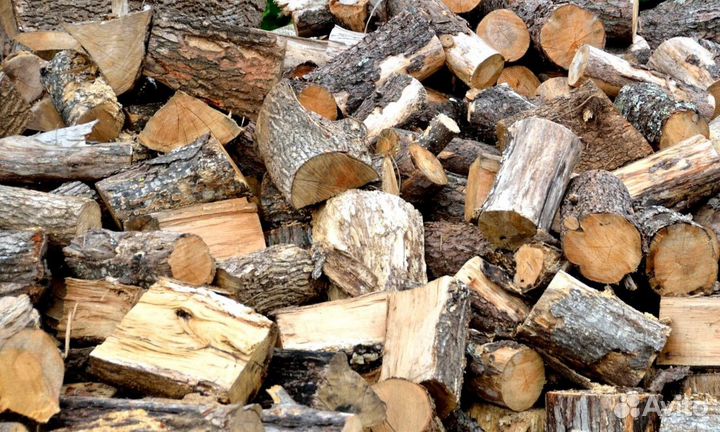 Дрова без гнили