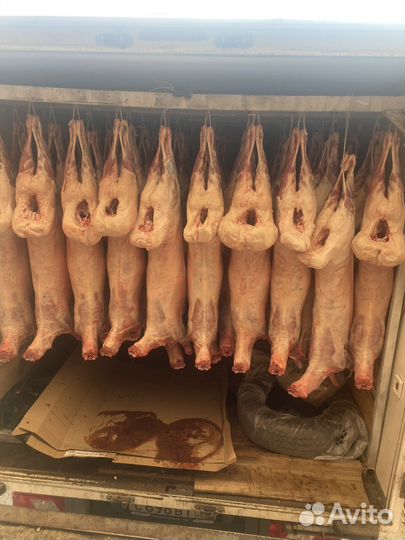 Халяль баранина, телятина, птица, фарш