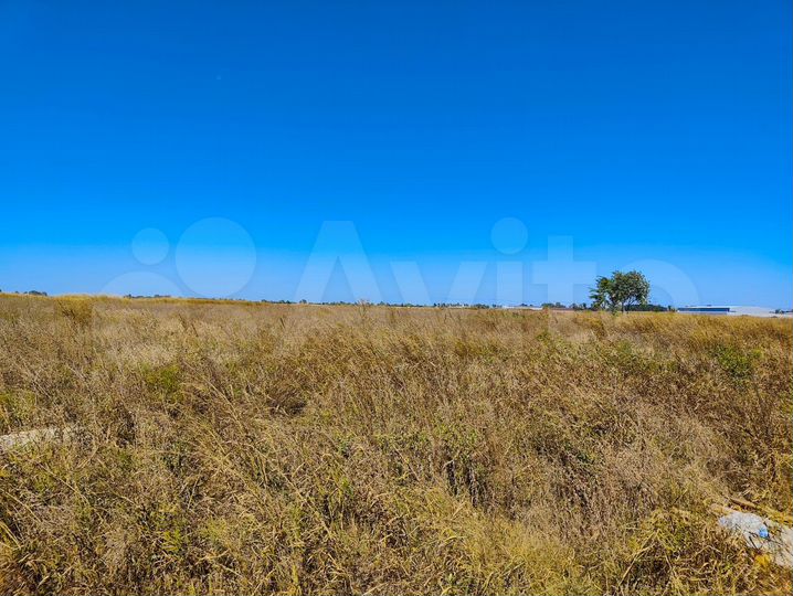 Участок 2 га (ИЖС)