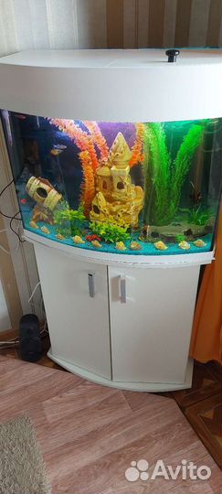 Аквариум Панорамный(непрямоуг) 105 литров с тумбой