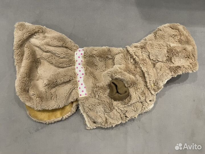 Одежда для маленьких собак