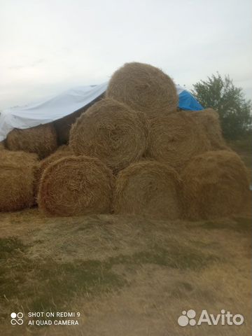 Сено и солома