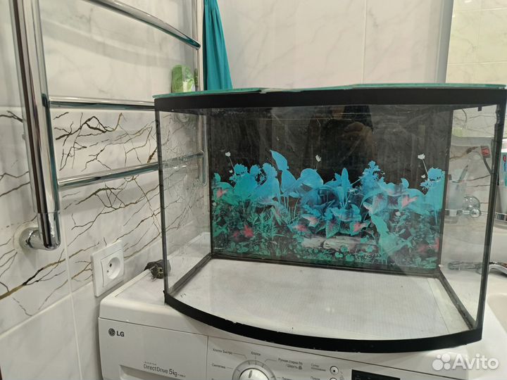 Аквариум