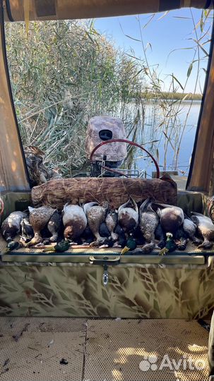 Чучела уток для охоты