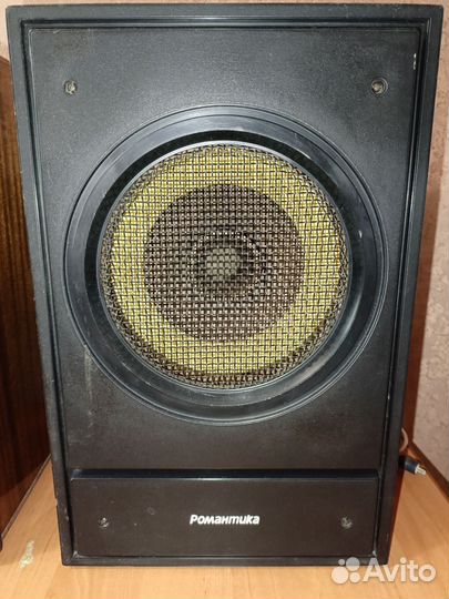 Колонки Романтика 10ас-207