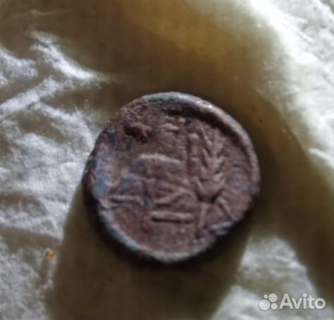 Монета. Пантикопей Тетрахалк Перисад 4