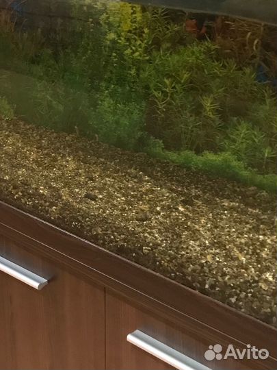 Песок для аквариума