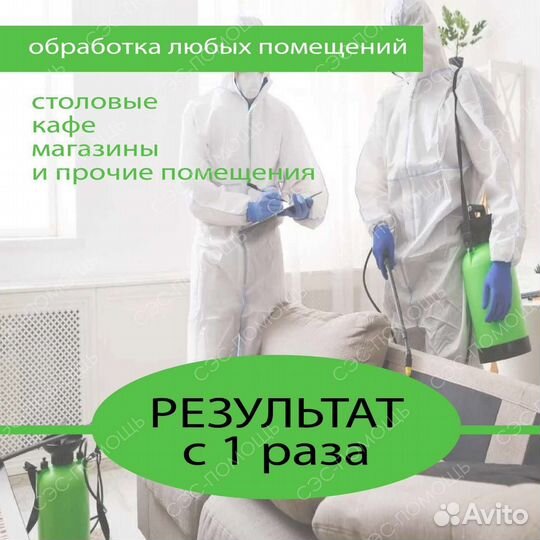 Уничтожение клопов тараканов мышей муравьёв клещей