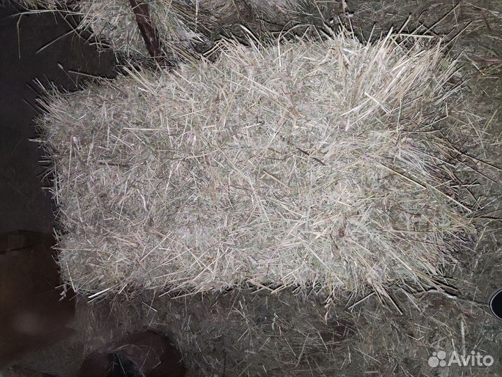 Сено в тюках