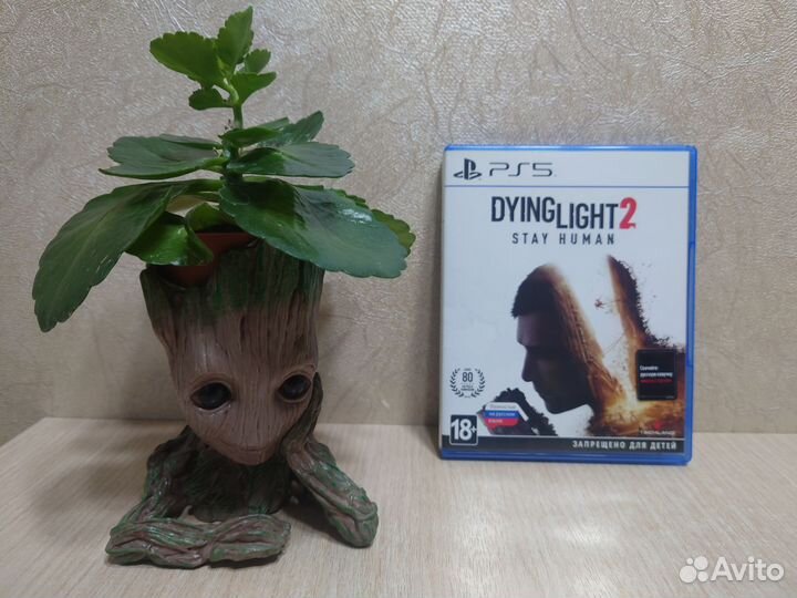 Dying light 2 ps5