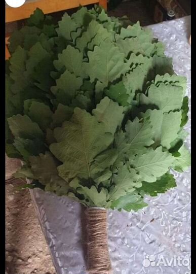 Веники Эвкалиптовые и липа для бани