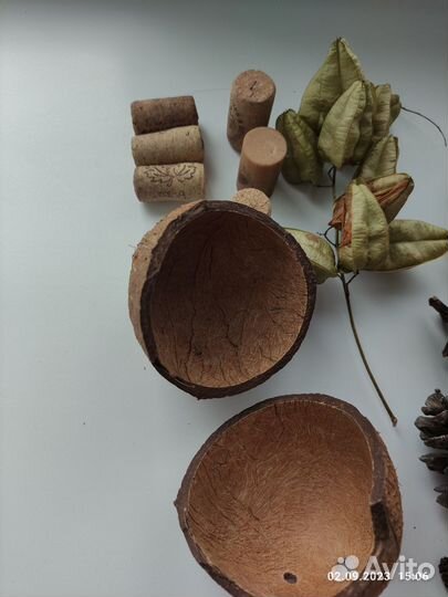 Шишки, орехи, жёлуди для поделок