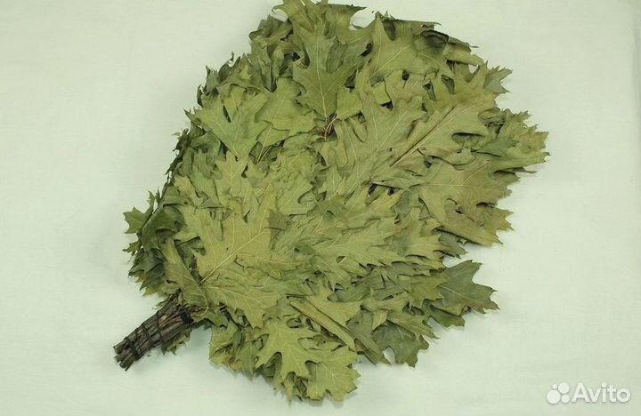 Веник из дуба канадского