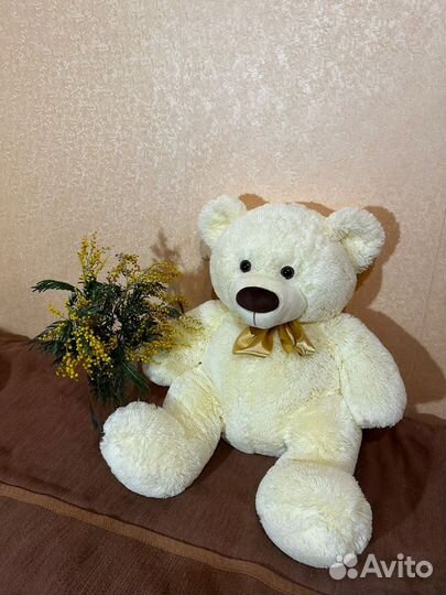 Плюшевый медведь