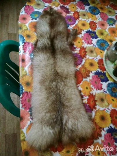 Шкуры песца